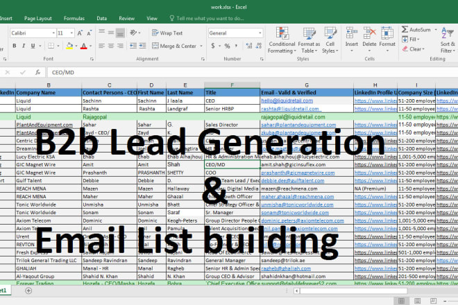 I will do b2b lead generation and targeted email list building