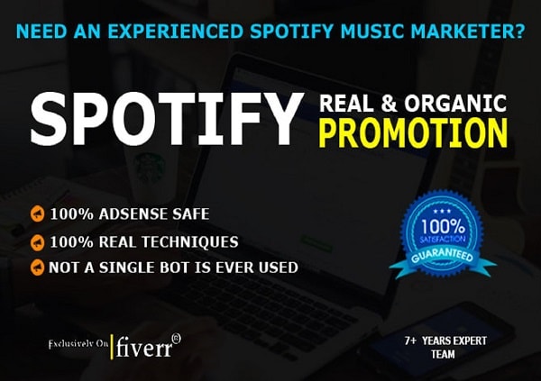 I will do best organic spotify music promotion