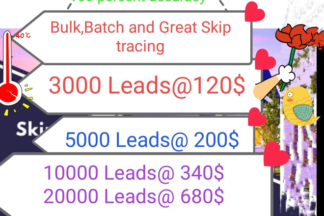 I will do bulk,batch and great skip tracing