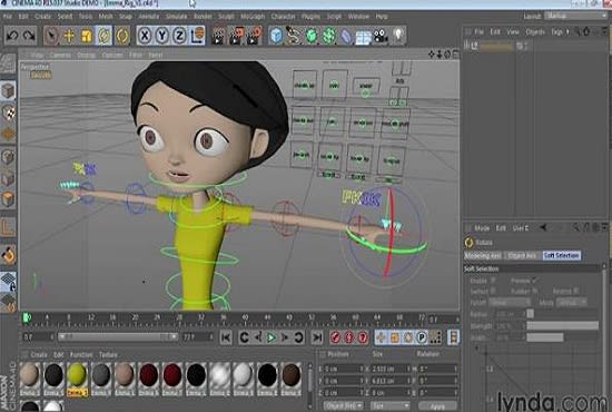 I will do character rigging in cinema 4d