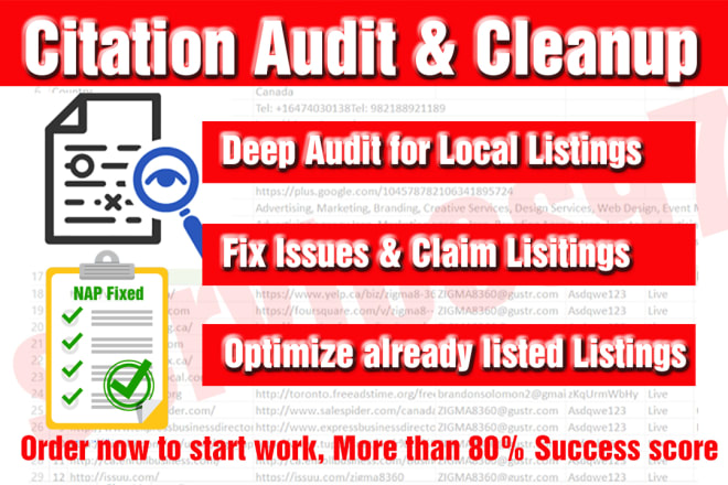 I will do citation audit and cleanup