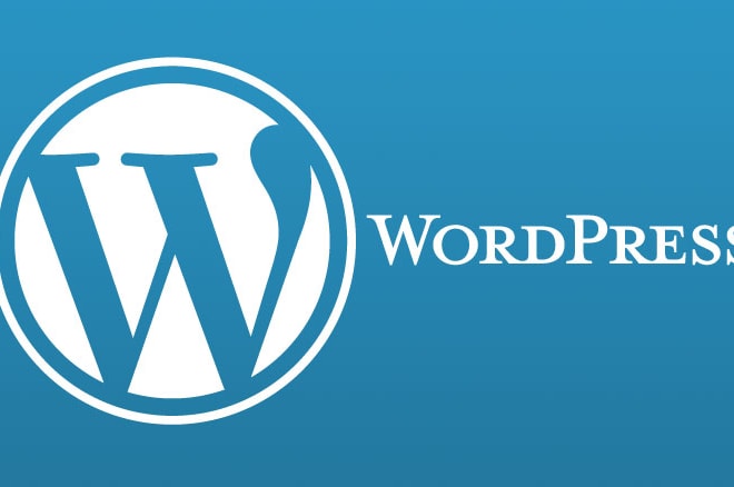 I will do create wordpress from scratch or theme