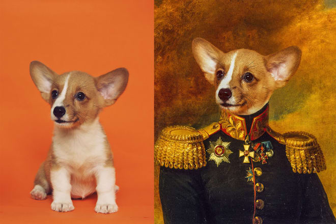 I will do custom oil painting for your pet