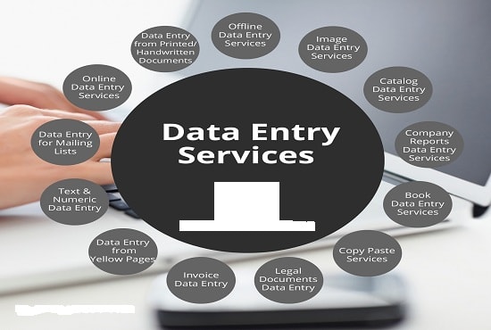 I will do data entry as your virtual assistant in 24 hours