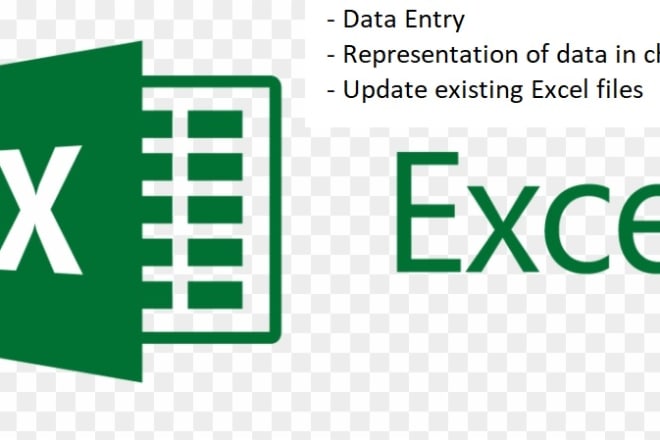 I will do data entry, copy paste, charts, formatting, PDF to excel