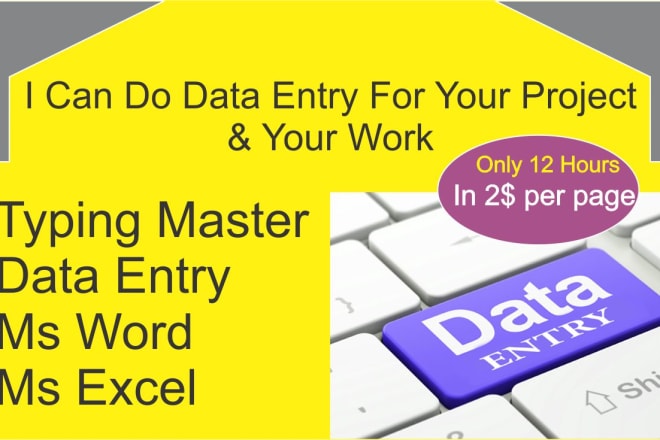 I will do data entry I am a best typing master