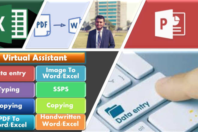 I will do data entry professional and data analyst