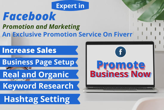 I will do expert facebook promotion and ads marketing