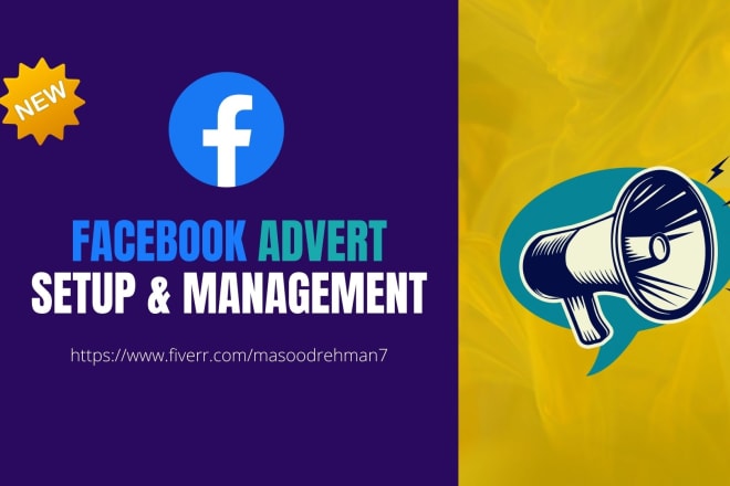 I will do facebook advert setup and management