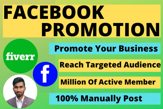 I will do facebook promotion for any USA company