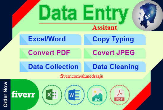 I will do fast data entry typing work in 24 hours that you need