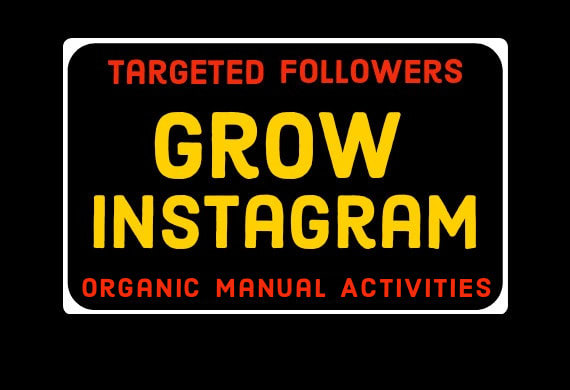 I will do fast organic instagram growth