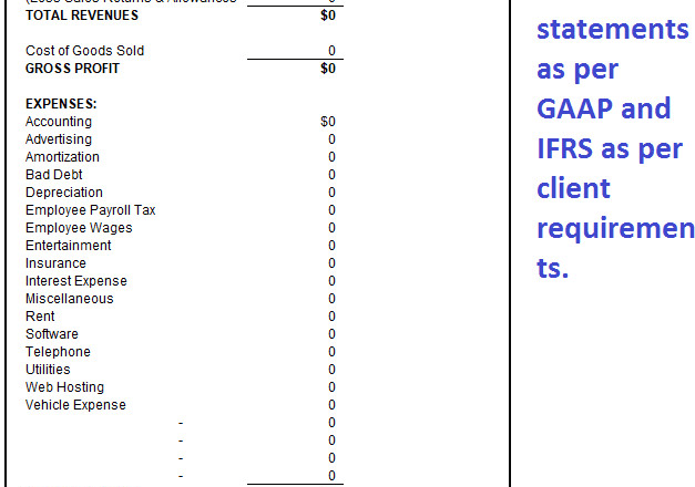 I will do financial statements, financial modeling