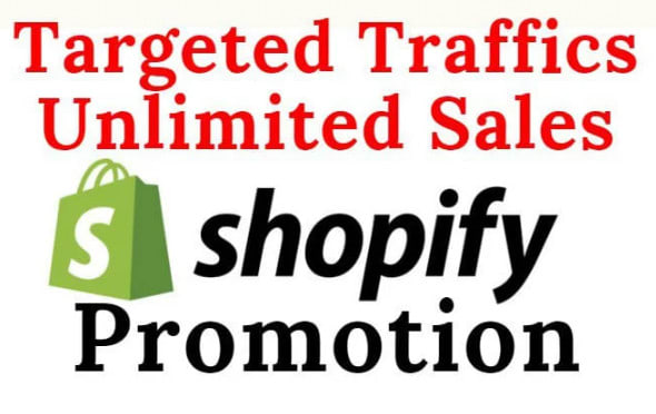 I will do guaranteed consistent sales and roi shopify promotion