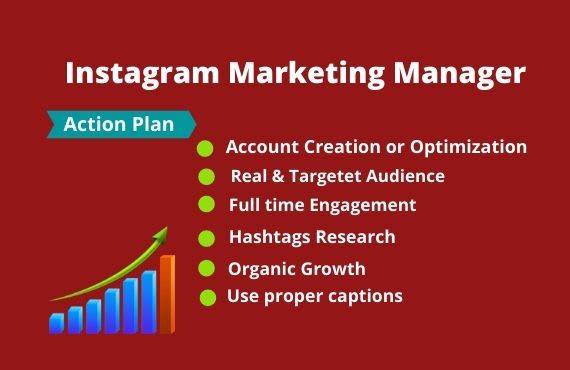 I will do instagram marketing for organic growth