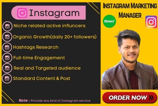 I will do instagram promotion, marketing for organic growth