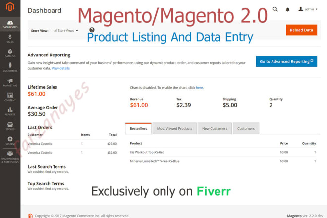 I will do magento product listing and data entry