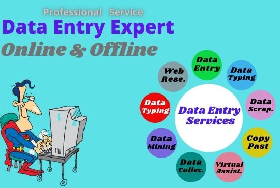 I will do online and offline data entry and web research