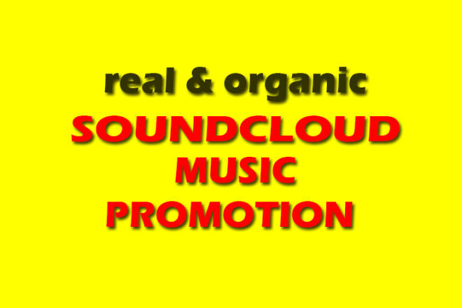 I will do organic edm music, soundcloud promotion to 999k audience