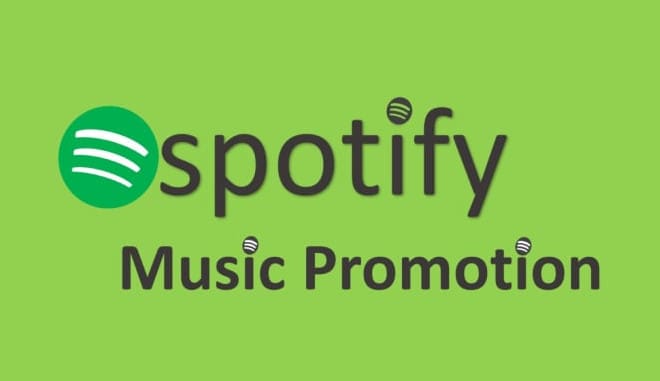 I will do organic spotify music promotion to target audience, campaign