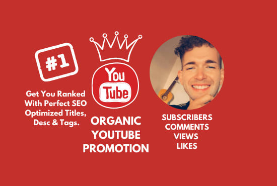 I will do organic youtube video promotion adwords