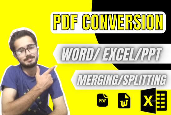 I will do pdf conversion, scanned pdf to word, excel