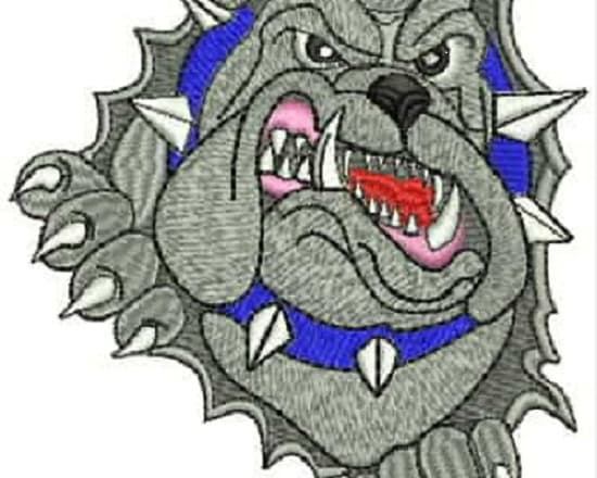 I will do quality embroidery digitizing logo dst
