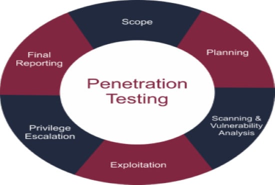 I will do security testing of your web and mobile applications