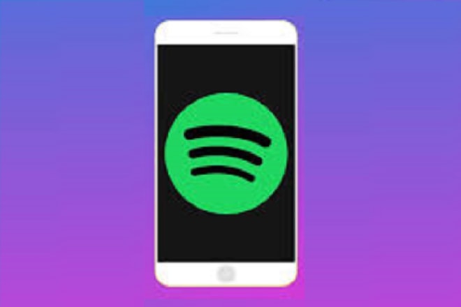 I will do spotify music playlist and massive spotify promotion