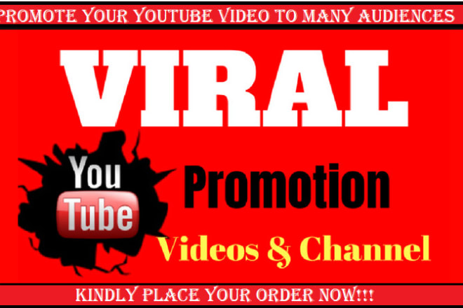 I will do super fast organic youtube music video promo and views