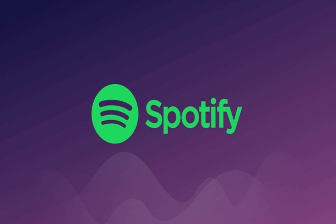 I will do targeted spotify promotion play list hip hop rap music track