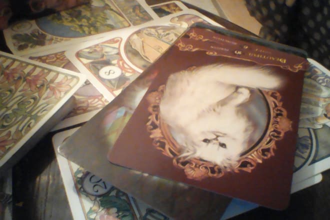 I will do tarot and lenormand card reading for you