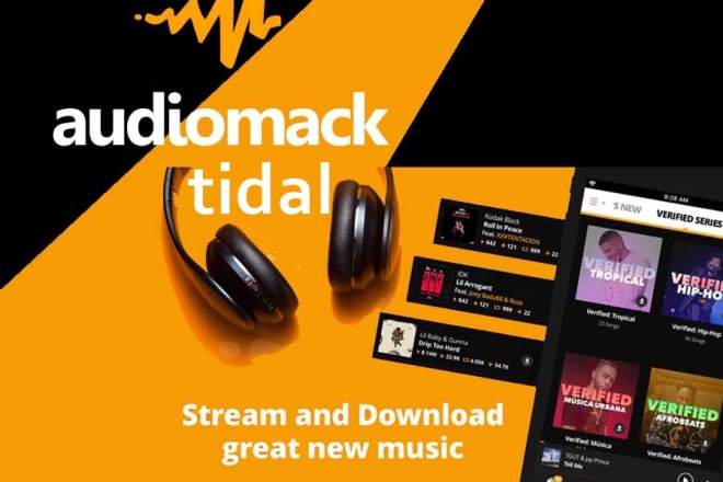 I will do viral best tidal music promotion playlist to get streams for you