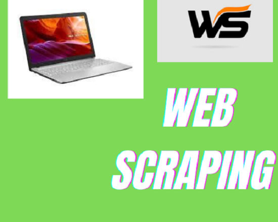I will do web scraping and data mining