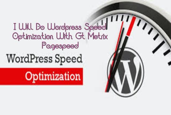 I will do wordpress speed optimization with gt metrix pagespeed