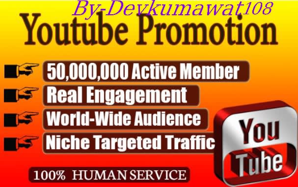 I will do youtube video promotion professional in USA people