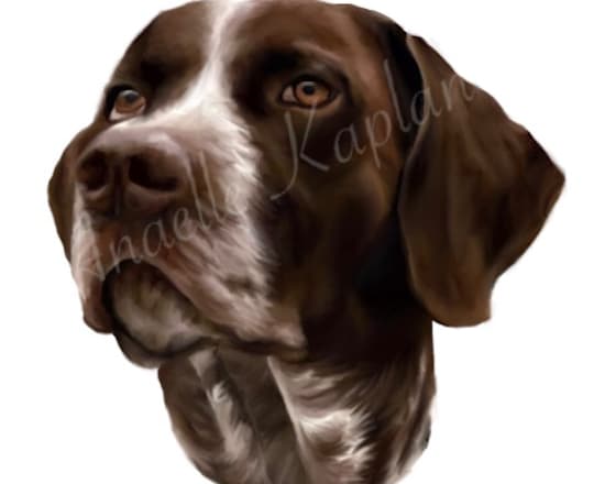 I will draw a portrait of your dog