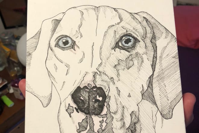 I will draw a portrait of your pet for you