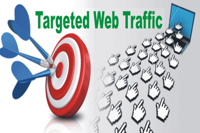 I will drive organic website traffic of website niche and target from massive promotion