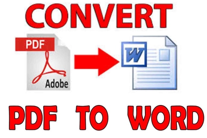 I will extract from pdf to word, pdf to excel and image to word