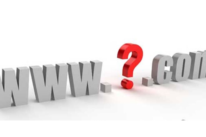 I will find best domain for your business