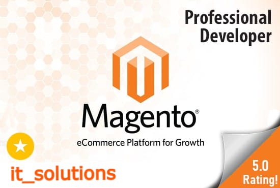 I will fix any bug, develop, customize or maintain magento 2 store