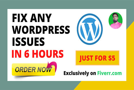 I will fix any wordpress errors and bugs or html, css issues