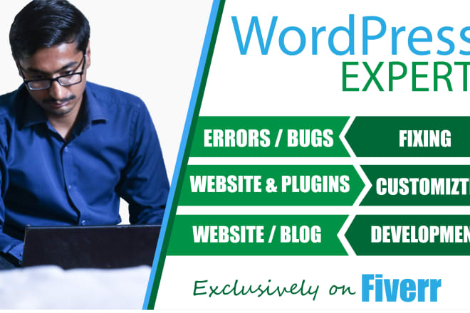 I will fix wordpress issues, wordpress errors problems in 24 hours