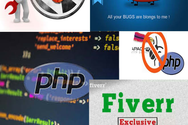 I will fix your PHP errors on web site or programme