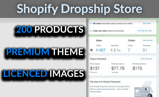 I will fully setup premium theme shopify dropship store
