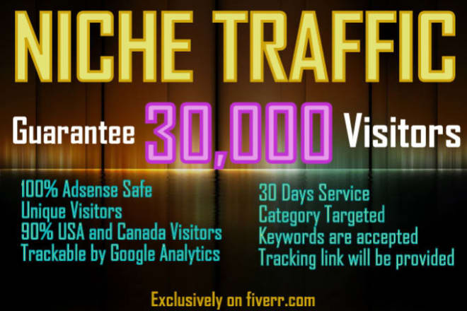 I will generate 30k niche base targeted website traffic visitors