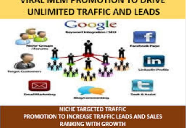 I will generate mlm leads, mlm promotion, mlm traffic and solo ads for mlm business