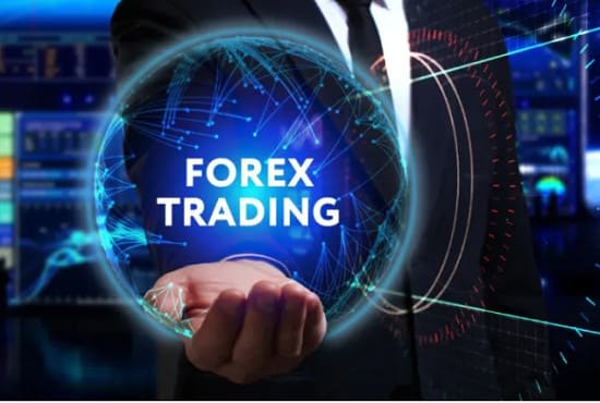I will generate real active members to forex crypto on your telegram group or channel