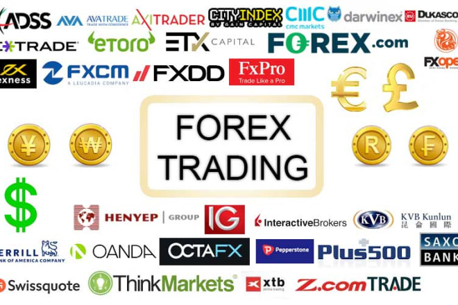 I will generate real traffic from investors to your forex website